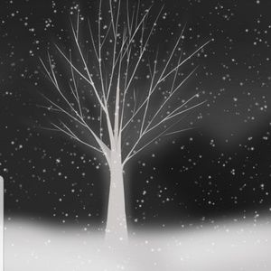 Meet your Posher, Jenn